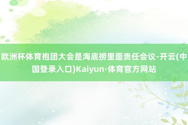 欧洲杯体育抱团大会是海底捞里面责任会议-开云(中国登录入口)Kaiyun·体育官方网站